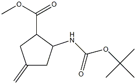 2-tert-Butoxycarbonylamino-4-methylene-cyclopentanecarboxylic acid methyl ester Structure