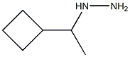 (1-cyclobutylethyl)hydrazine 化学構造式
