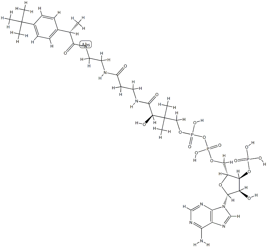 ibuprofenyl-coenzyme A Structure