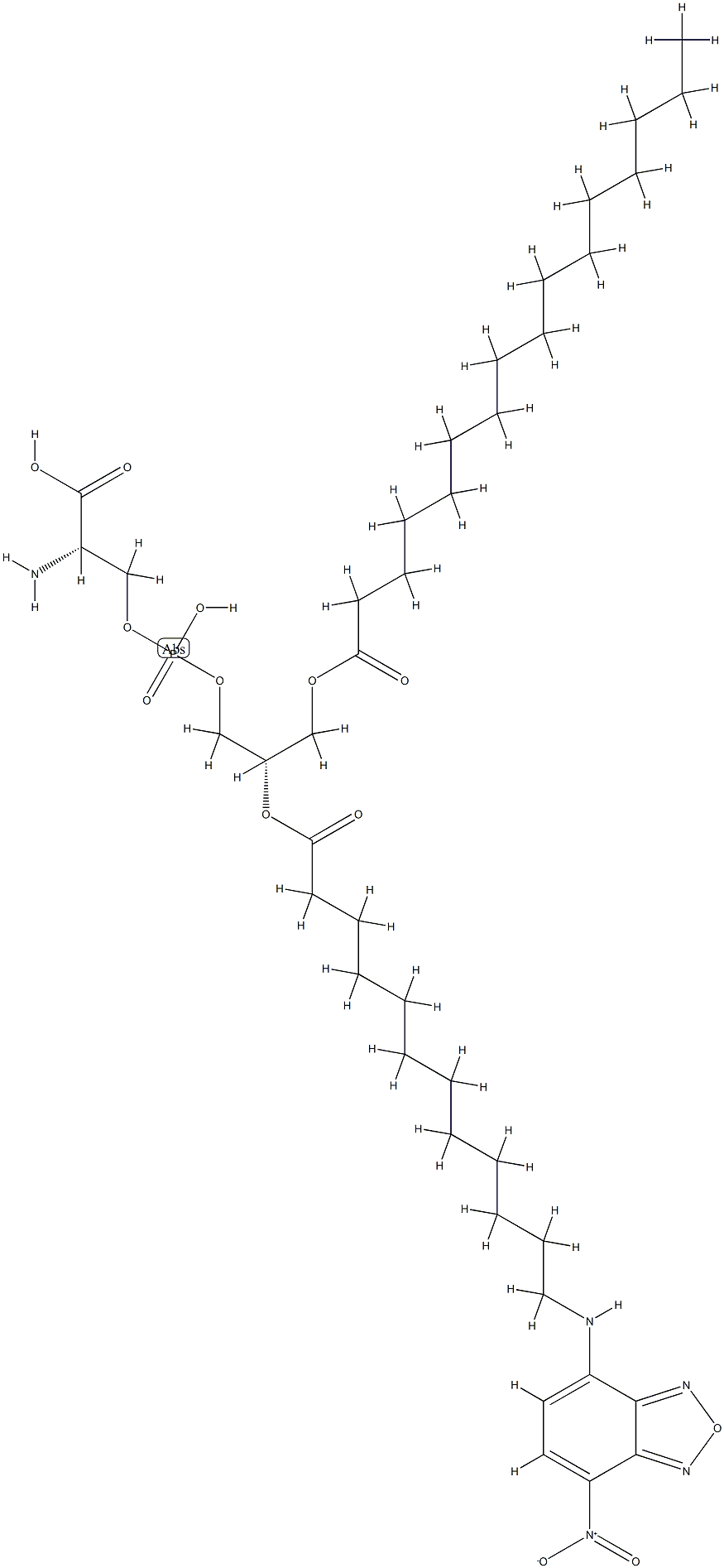(1-팔미토일-2-nbd-아미노도데카노일)포스파티딜세린