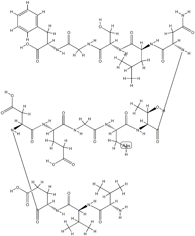 peptide VF13N Struktur