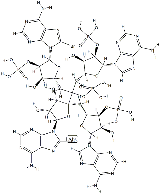 5'-monophosphoryladenylyl-(2'-5')adenylyl-(2'-5')-8-bromoadenylyl-(2'-5')-8-bromoadenosine Structure