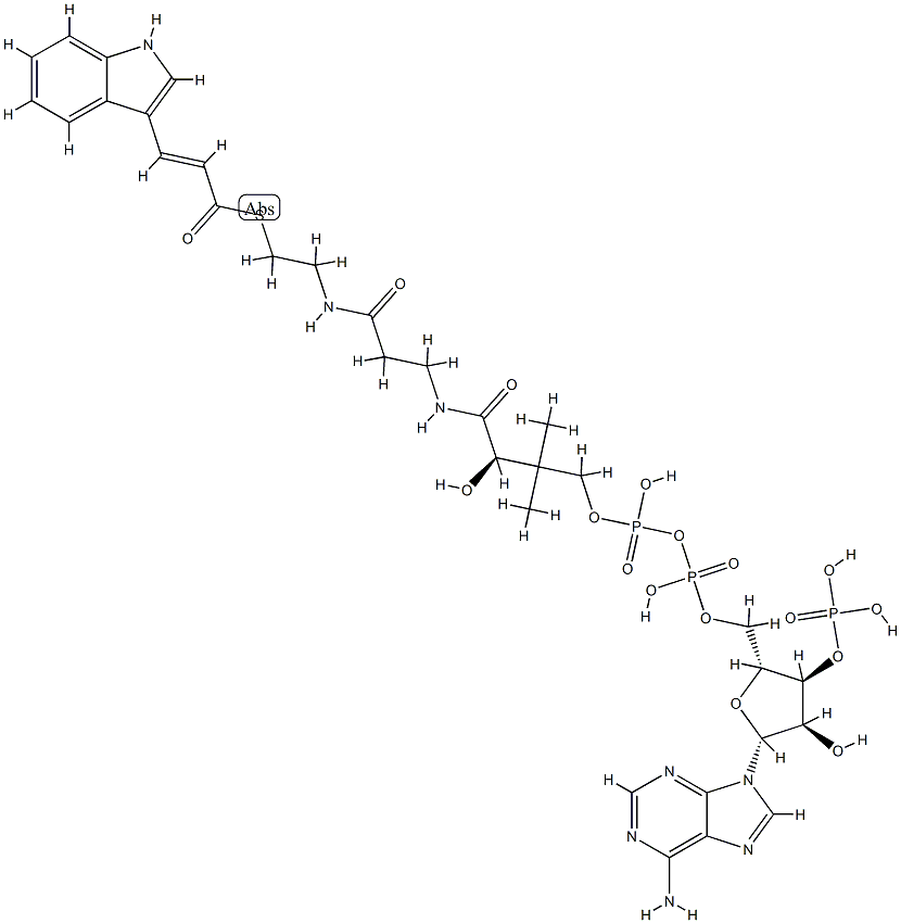 3-indoleacryloyl-coenzyme A Structure