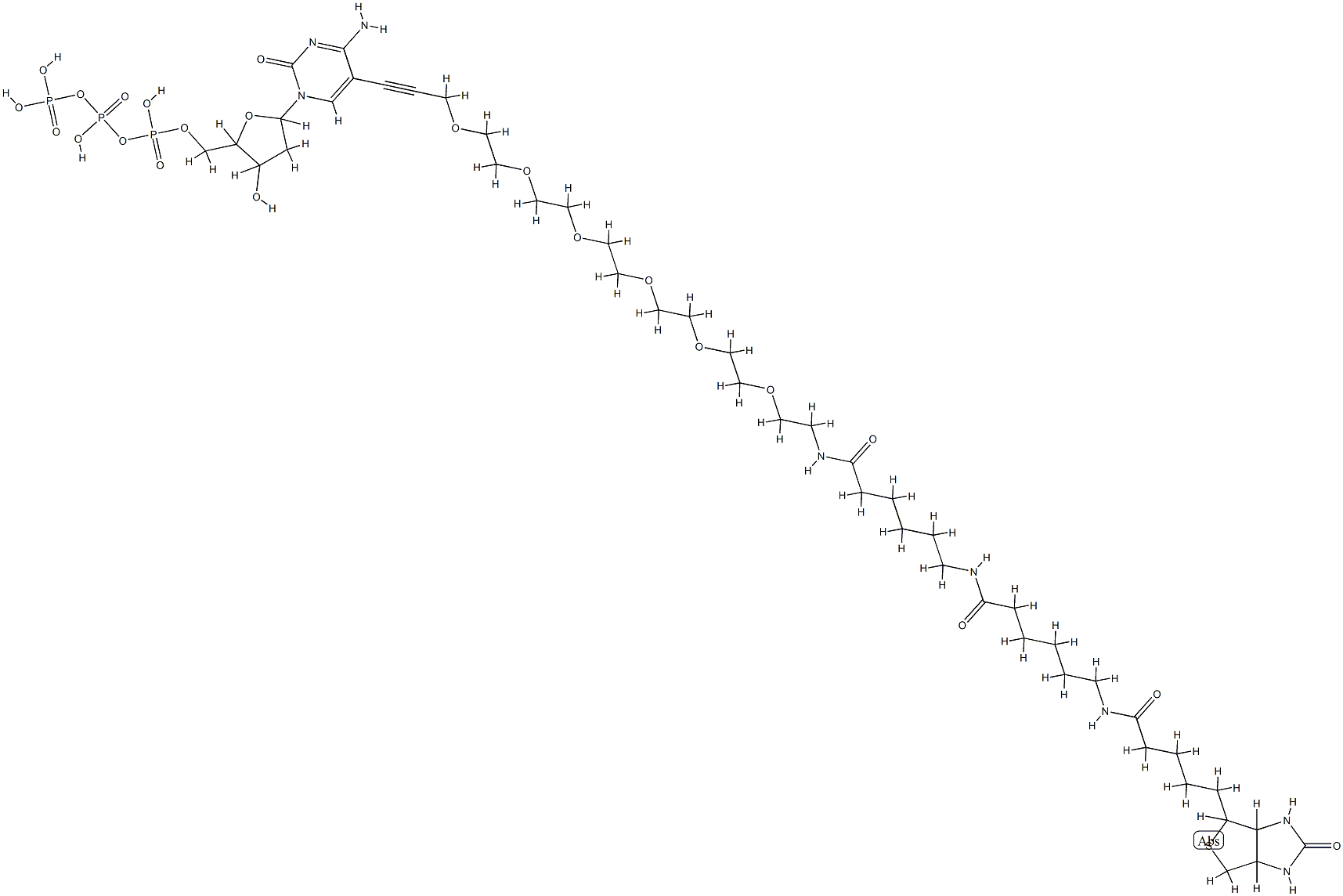 biotin-36-dCTP 结构式