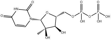 2'-C-methyluridine diphosphate 化学構造式