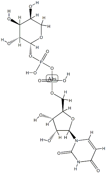 UDP-L-arabinose