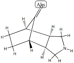 4,7-Methano-1H-isoindol-8-one,octahydro-,(3a-alpha-,4-bta-,7-bta-,7a-alpha-)-(9CI) Structure