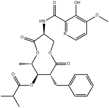 UK 2A|1G,10G,100G,1KG