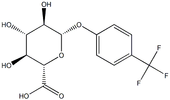 4-(TrifluoroMethyl)phenyl β-D-Glucopyranosiduronic Acid 化学構造式