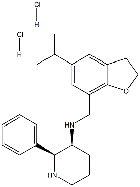 HSP 117 Structure