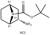 tert-butyl rac-(1S,2S,4R)-2-amino-7-azabicyclo[2.2.1]heptane-7-carboxylate hydrochloride Struktur
