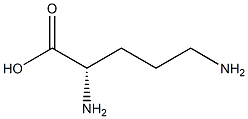 polyornithine Struktur