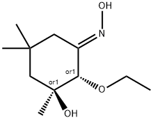 Cyclohexanone, 2-ethoxy-3-hydroxy-3,5,5-trimethyl-, oxime, (1E,2R,3S)-rel- (9CI) 结构式