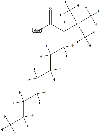 (1-carboxylatononyl)trimethylammonium Structure