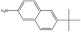 2-Naphthalenamine,6-(1,1-dimethylethyl)-(9CI) 结构式