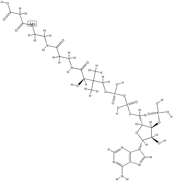 アデノシン5'-[二りん酸β-[(R)-4-[[2-[[2-(カルボキシアセチルチオ)エチル]カルバモイル]エチル]アミノ]-4-オキソ-3-ヒドロキシ-2,2-ジメチルブチル]]3'-りん酸 化学構造式