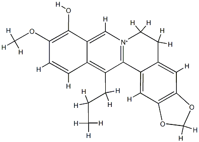 13-propylberberine 化学構造式