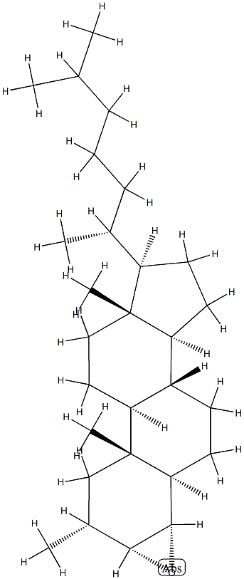 3α,4α-エポキシ-2α-メチル-5α-コレスタン 化学構造式