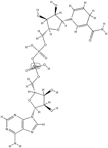 アデノシン5'-[二りん酸P2-[1-(1,4-ジヒドロ-3-カルバモイルピリジン-1-イル)-1,5-ジデオキシ-β-D-ribo-ペントフラノース-5-イル]] 化学構造式