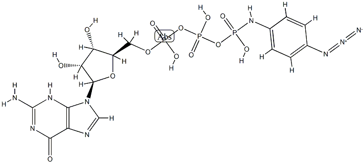 GTP gamma-4-azidoanilide 化学構造式