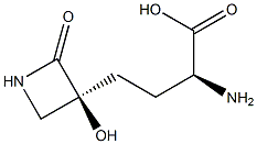 tabtoxinine beta-lactam Structure