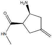Cyclopentanecarboxamide, 2-amino-N-methyl-4-methylene-, (1R,2S)-rel- (9CI) Struktur