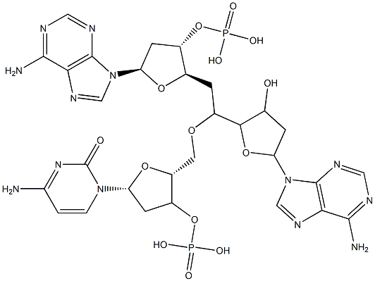 deoxyadenylyl-(3'-5')-deoxycytidylyl-(3'-5')-deoxyadenosine,70419-16-8,结构式