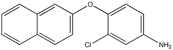 3-chloro-4-(naphthalen-2-yloxy)aniline Structure