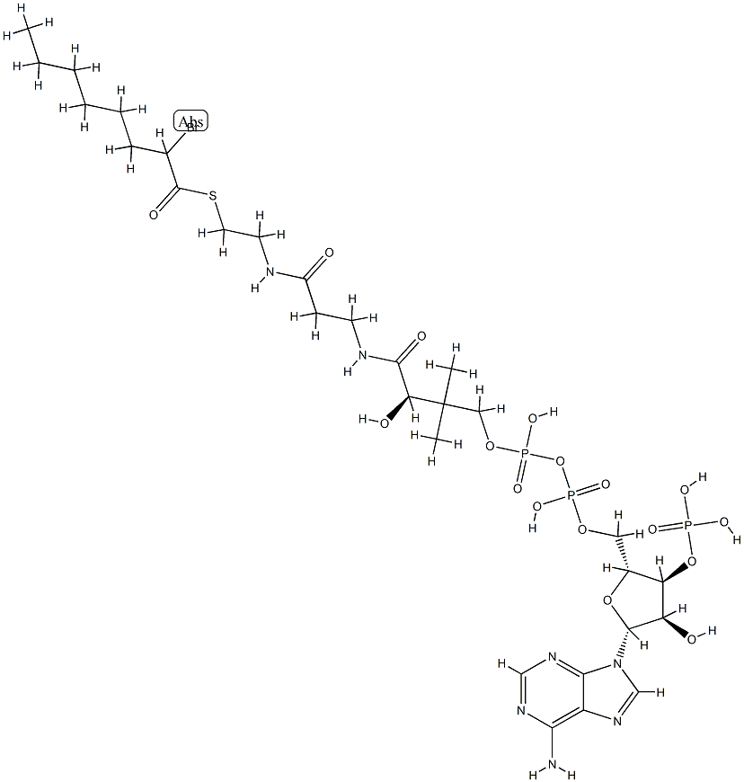 2-bromooctanoyl-coenzyme A,71605-35-1,结构式