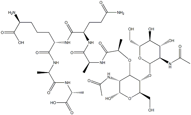 peptidoglycan monomer Structure