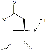 Cyclobutanemethanol, 3-hydroxy-2-methylene-, alpha-acetate, (1R,3R)- (9CI) Structure