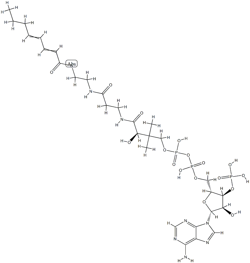 2-trans,4-trans-Octadienoyl-CoA 结构式