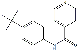 4-Pyridinecarboxamide,N-[4-(1,1-dimethylethyl)phenyl]-(9CI)|