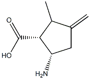 시클로펜탄카르복실산,5-아미노-2-메틸-3-메틸렌-,(1R,5S)-rel-(9CI)