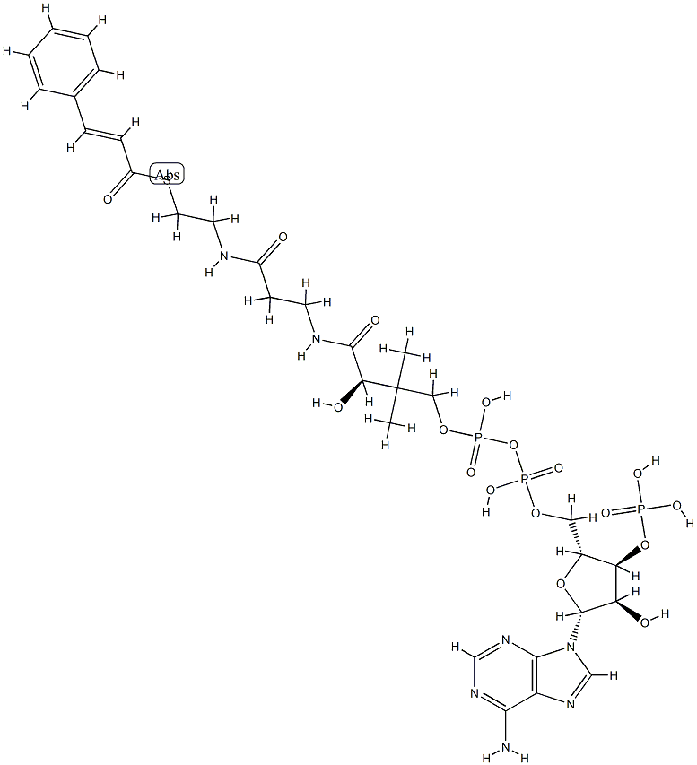(E)-シンナモイル-CoA 化学構造式