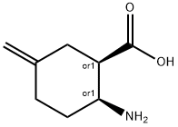 Cyclohexanecarboxylic acid, 2-amino-5-methylene-, (1R,2S)-rel- (9CI) Structure