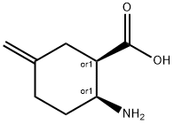 Cyclohexanecarboxylic acid, 2-amino-5-methylene-, (1R,2S)-rel- (9CI)|