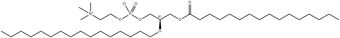 palmitoyl-palmityl-lecithin ether 化学構造式