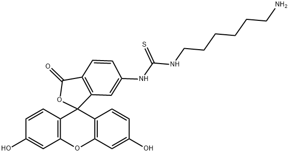 77228-88-7 4-(N-6-aminohexylthioureal)fluorescein