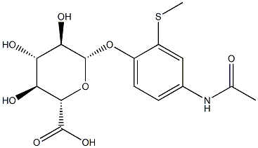 3-thiomethylparacetamol glucuronide Struktur