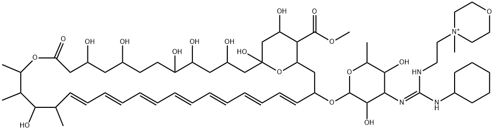 79451-27-7 N-(N'-(2-(4'-methylmorpholinio)ethyl)-N''-cyclohexylguanyl)amphotericin B methyl ester