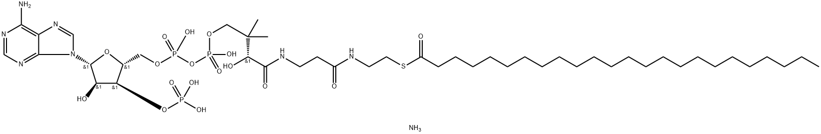 lignoceroyl CoenzyMe A (aMMoniuM salt) Structure
