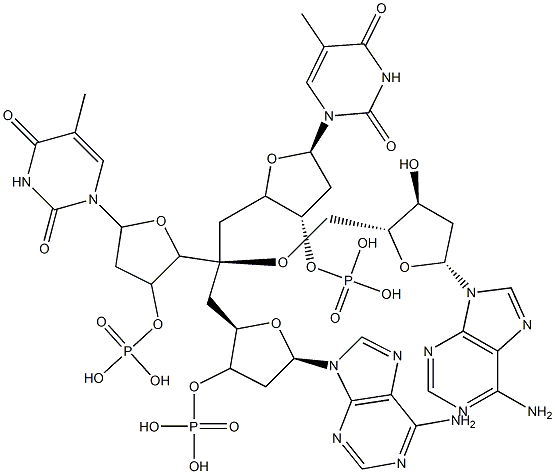 deoxy-(thymidylyl-adenylyl-adenylyl-thymidylic acid) 结构式