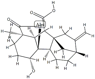 81826-98-4 4β,4aα-Dihydroxy-1β-methyl-8-methylenegibbane-1α,10β-dicarboxylic acid 1,4a-lactone