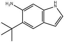 5-(tert-butyl)-1H-indol-6-aMine,873055-31-3,结构式