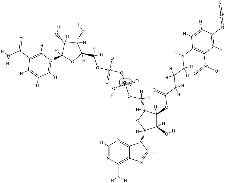 88255-98-5 N-4-azido-2-nitrophenyl-4-aminobutyryl-NAD