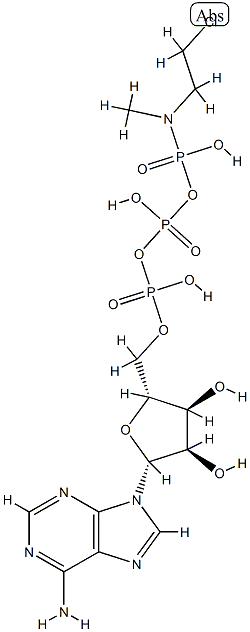 ATP gamma-(N-(2-chloroethyl)-N-methyl)amide 化学構造式