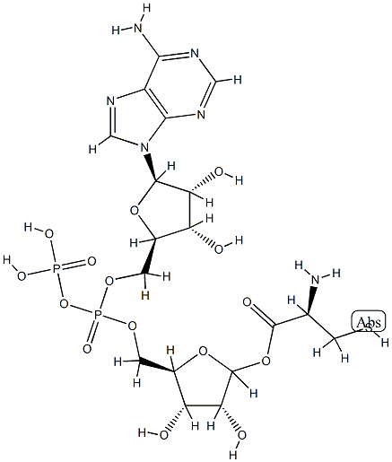 adp-ribosylcysteine