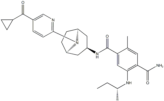 XL888 结构式