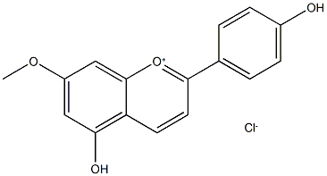 METHOXYAPIGENINIDIN CHLORIDE, 7-(RG),161773-51-9,结构式